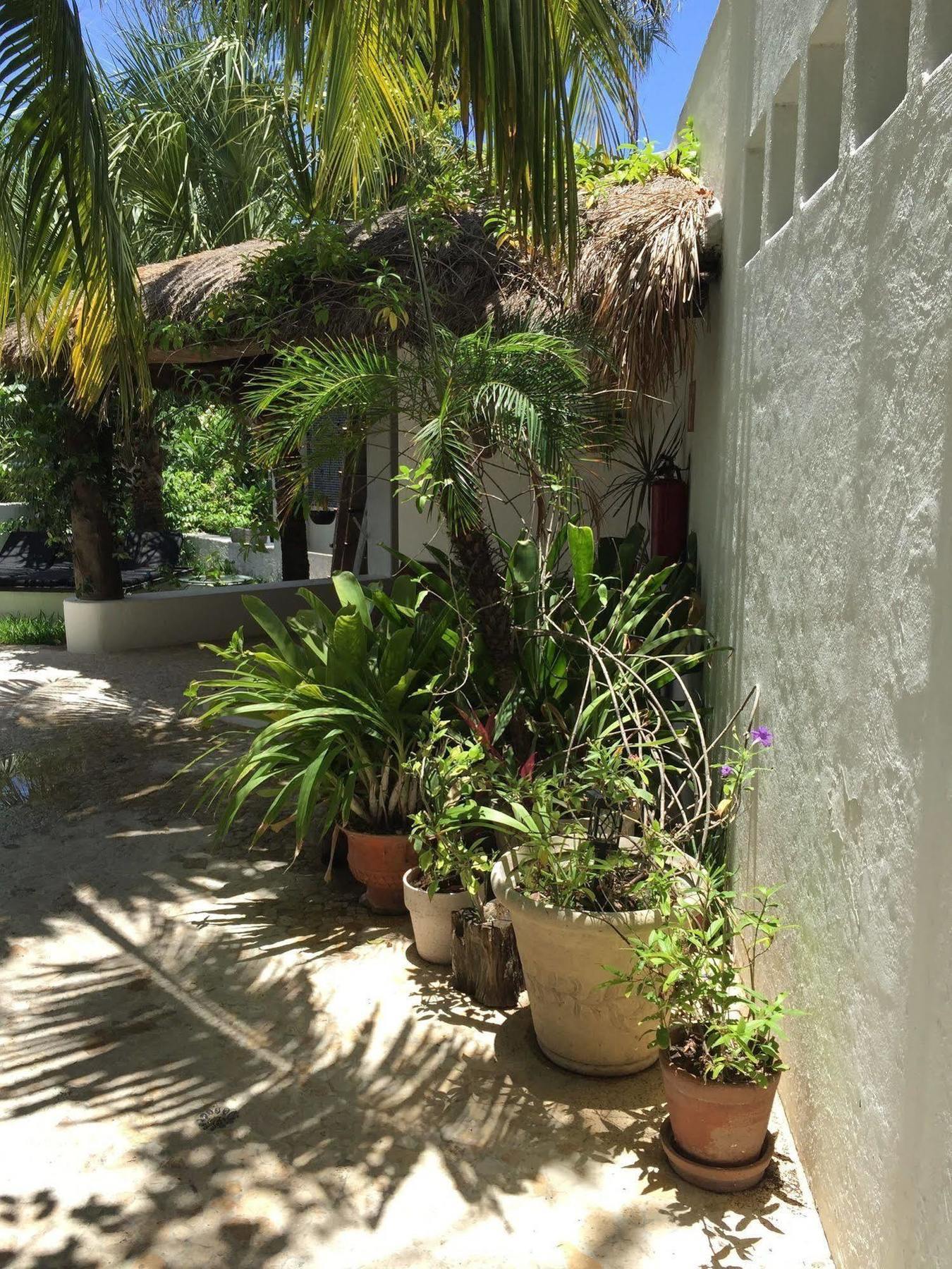 Hotel Mi Casa En Cozumel Extérieur photo