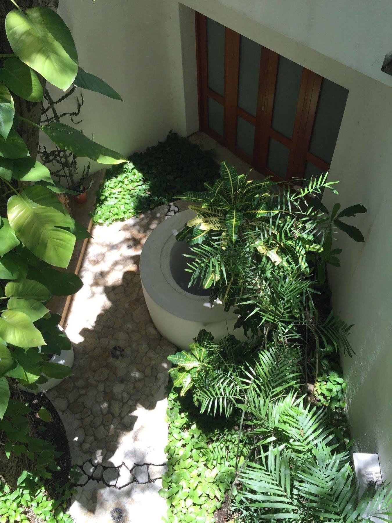 Hotel Mi Casa En Cozumel Extérieur photo