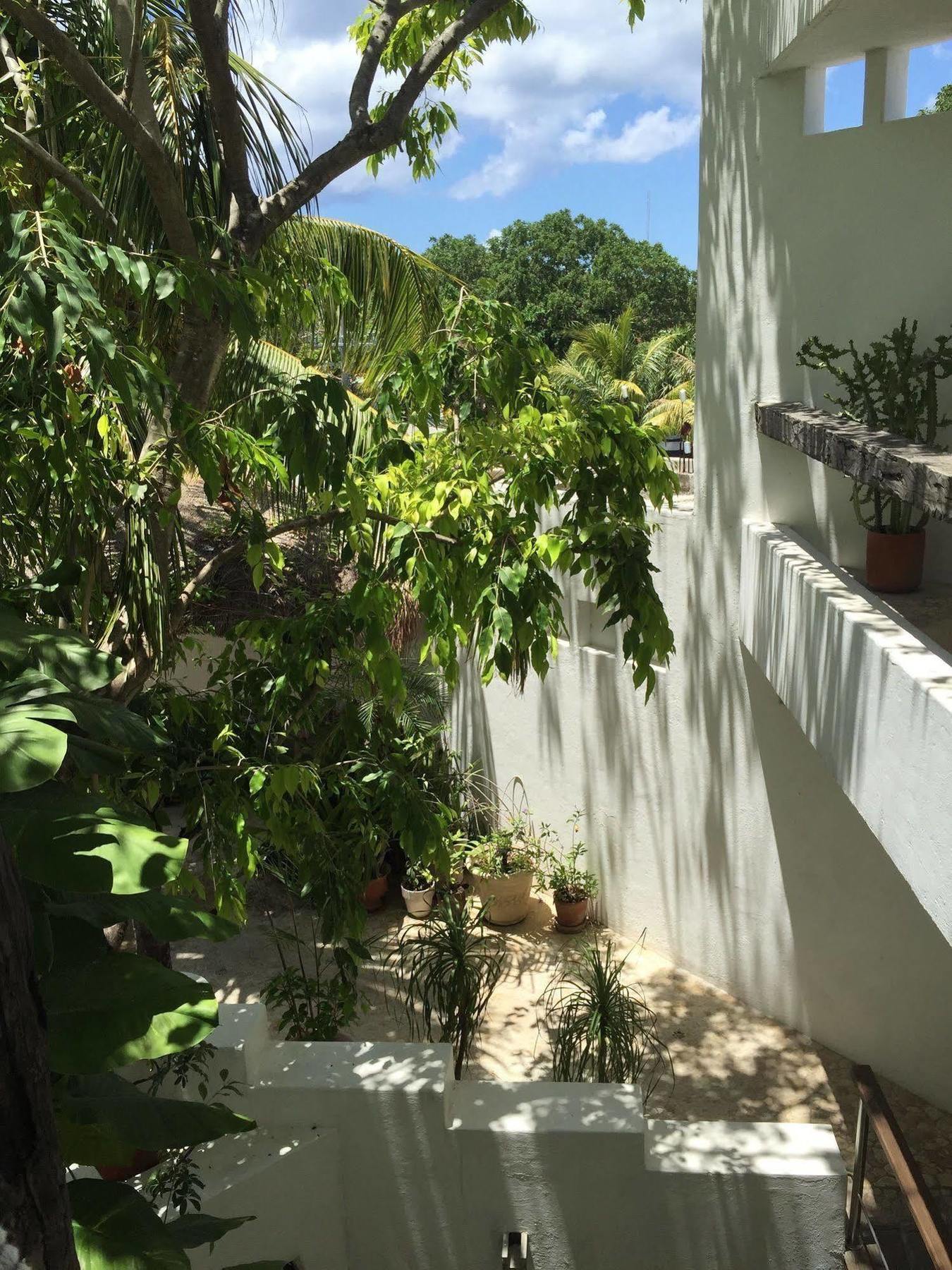 Hotel Mi Casa En Cozumel Extérieur photo